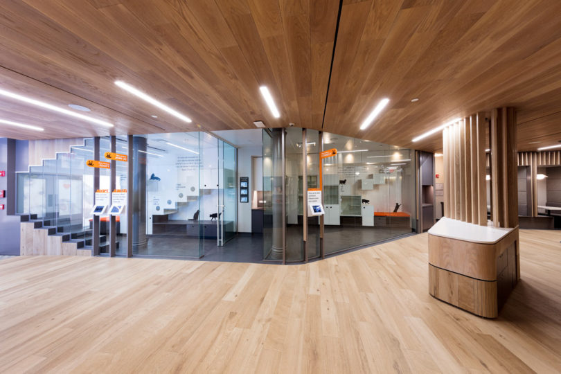 動物收養中心的新辦公室設計